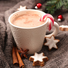 Obraz na płótnie Canvas warm milk with cocoa for winter