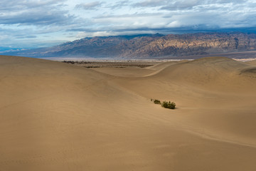 Fototapeta na wymiar Desert in California