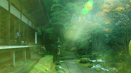 鎌倉の寺の庭園