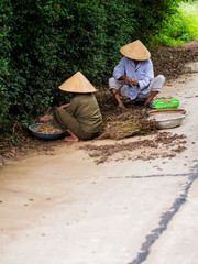 Vietnamese workers - 181231493