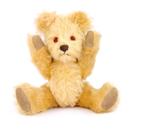 Old scruffy cute teddy bear soft toy