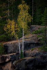 Russia. Siberia, West Sayan mountains, the river Kazyr.