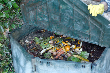 inside of a composting container