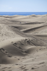 Sand dunes with tracks of pedestrians all over, blue ocean in the background
