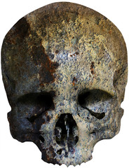 skull covered with rust