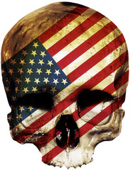 skull covered with the american flag