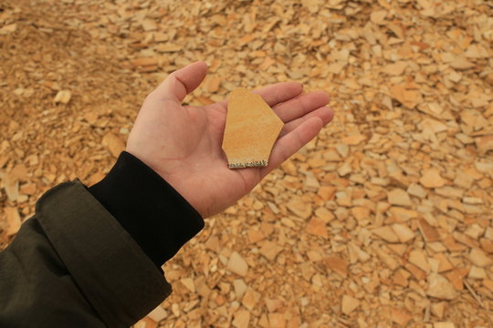 Jurastein aus Altm&uuml;hltal / Fossilien