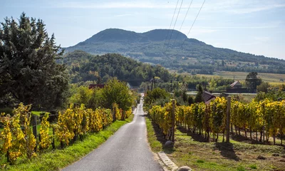 Selbstklebende Fototapete Hügel Weinhügel von Badacsony