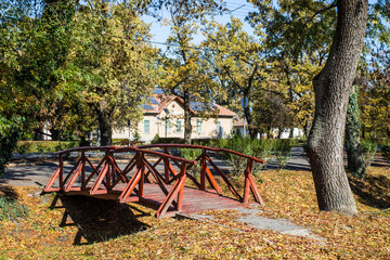 wooden bridge in park