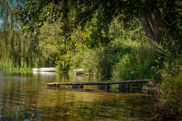 quiet lake lagoon in the shade of coastal trees