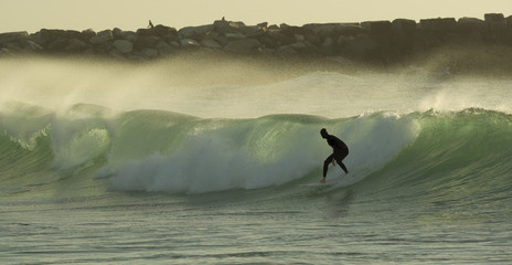 Morning surfer silhouette
