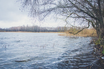 View of the lake in autumn
