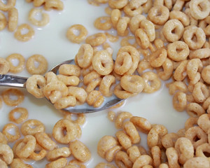 Fototapeta premium Starting the day off right with nutritious wholegrain cereal and milk 