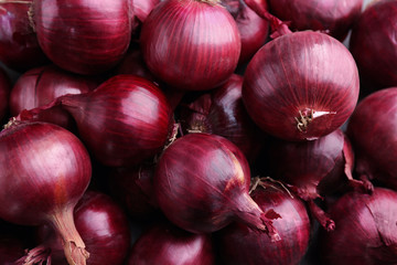 Red onion, close up - obrazy, fototapety, plakaty