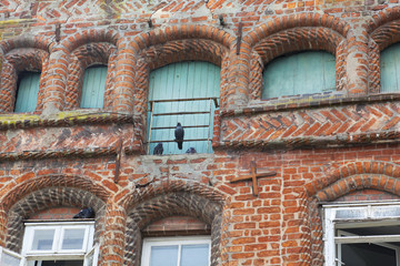 Lüneburg, Giebelhaus-Detail mit nutzloser Taubenabschreckung