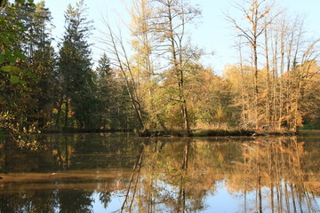 Fototapeta na wymiar Goldener Herbst im Altmühltal