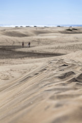 Sand dunes with tracks of pedestrians all over, blue ocean in the background