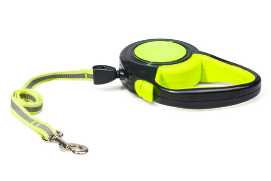 Green/Black retractable leash for dog isolated on white background