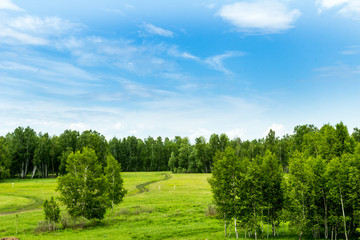Field in June