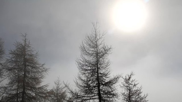 Cielo con nebbia e nuvole in time lapse