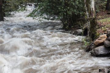 Flooded river in the Great Smoky Mountains in fall, horizontal aspect