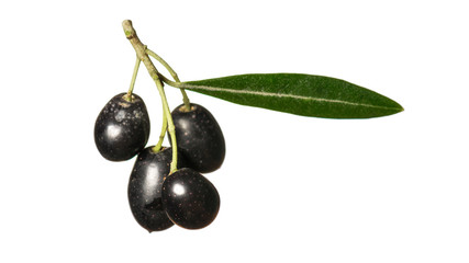Olives on a white background