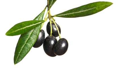 Olives on a white background