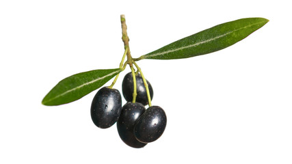 Olives on a white background