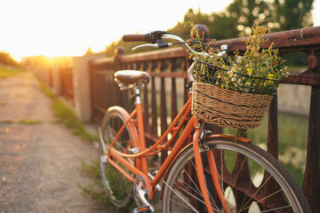 Beautiful bicycle with flowers in a basket stands on the street