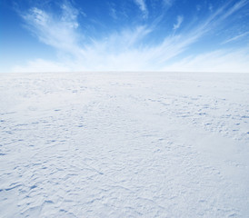  winter landscape background