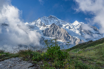 Fototapeta na wymiar Youngfrau peak