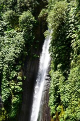 Waterfall in the jungle. Indonesia