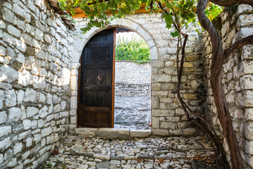 Brown wooden door, traditional old gate. Mediterranean door with plants