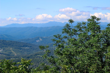 mountain view, green Bush and views into the distance, mountain landscape