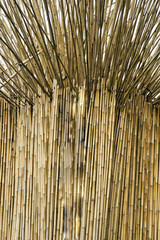 Mangosteens served on plaited bamboo container and white background captured isolated from top angle