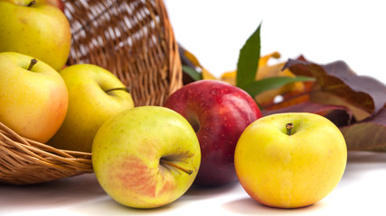 apples in a wicker basket on a white background.