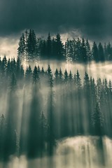 Sun shining through fog in the forest on mountain slopes
