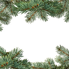 Fototapeta na wymiar Frame for chrismas card fir on white background with clipping pass