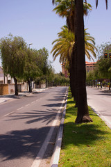 Street. Spanish architecture. Marbella city, Costa del Sol, Andalusia, Spain.