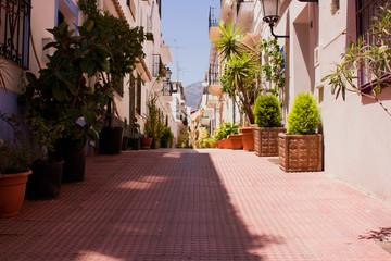 Fototapeta na wymiar Street. Spanish architecture. Marbella city, Costa del Sol, Andalusia, Spain.