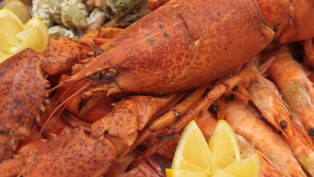 plateau de fruits de mer