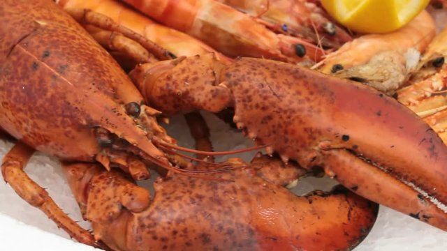 plateau de fruits de mer