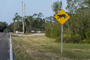 Abwaschbare Fototapete Puma Straßenschild, Florida Puma, Florida Panther, Puma Concolor Coryi, Florida, USA