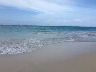 tropical beach