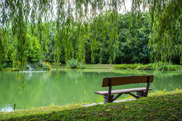 Relax bench near the fishing lake