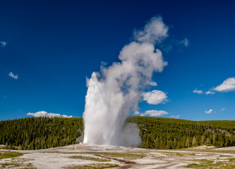 Old Faithful geyser in Yellowstone National Park