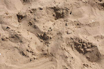 Sandy beach pattern closeup, Summer seacoast background.