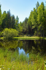 Fototapeta na wymiar Wild forest lake in Sunny day surrounded by green grass, the reflection of sky and trees in the water.