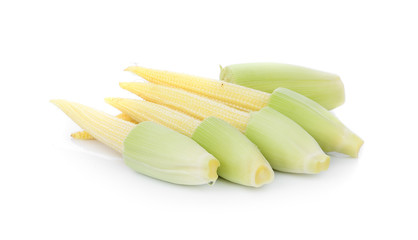 baby corn isolated on white background