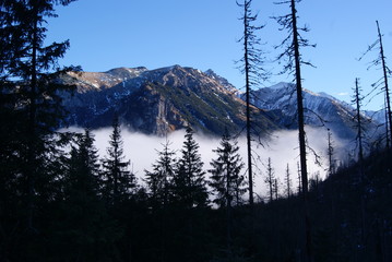 Mountains view